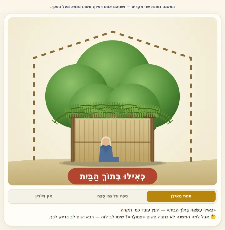 המחשה מהסוגיה